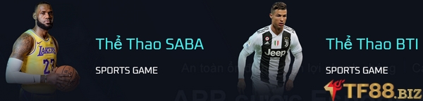 Cá cược thể thao tf88
